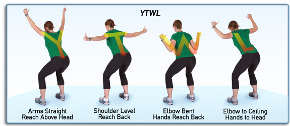 YTWL exercise