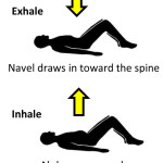 Proper diaphragmatic breathing assists with most stretches and other exercises