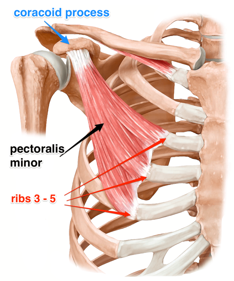 pain-in-middle-of-chest-and-back-surprising-causes-of-chest-pain