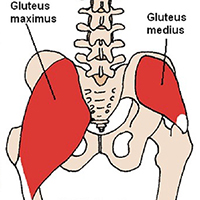 low back pain - glutes