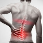 low back pain - rectus abdominis