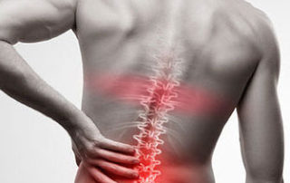 low back pain - rectus abdominis
