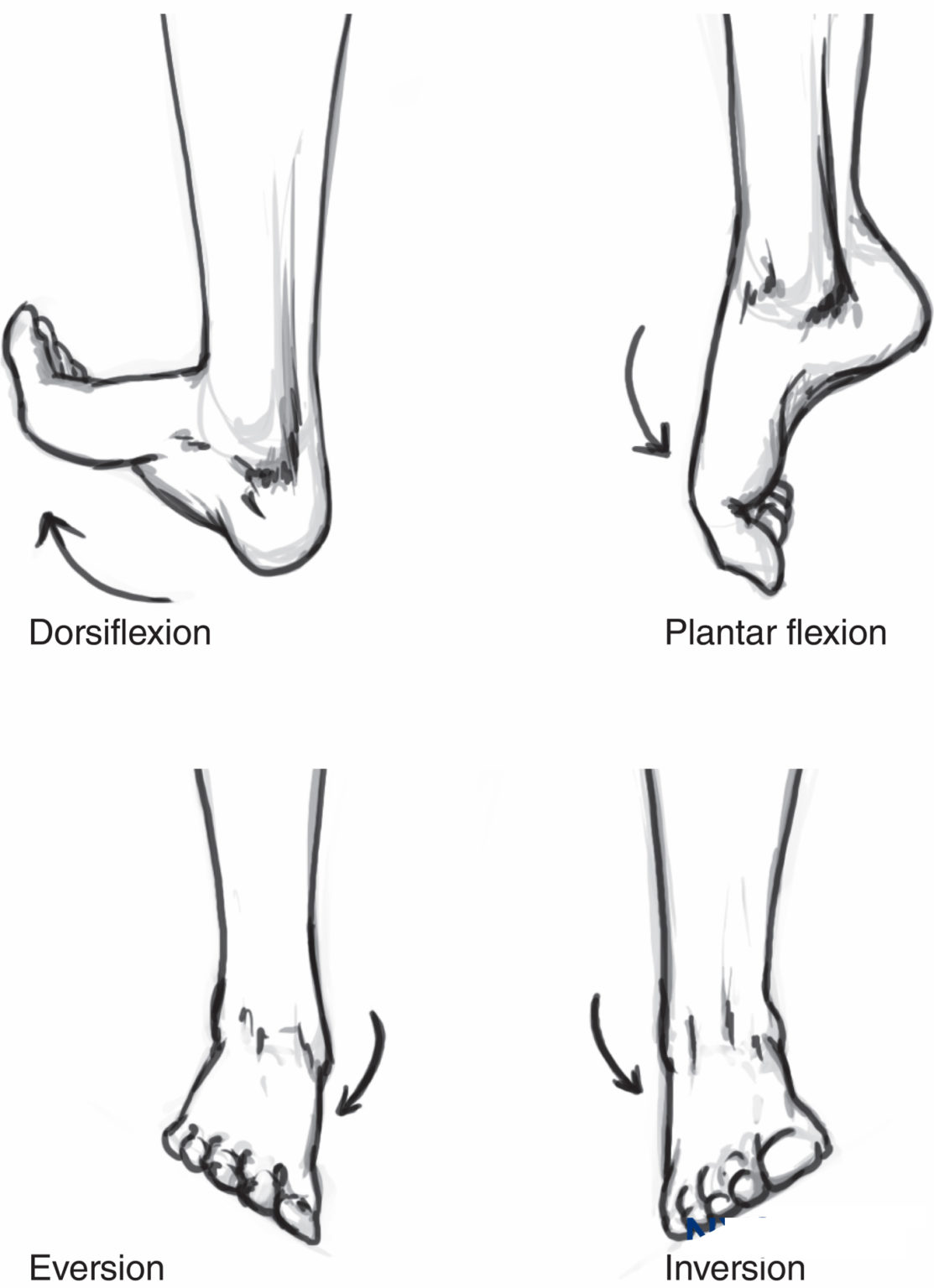 Sorting Out Foot Pain? We Have Answers! West Suburban Pain Relief
