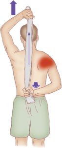 Teres Minor Muscle - Back of Shoulder Pain - West Suburban Pain Relief