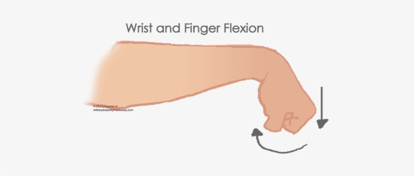 Finger Flexors - Hand and Forearm Pain - West Suburban Pain Relief